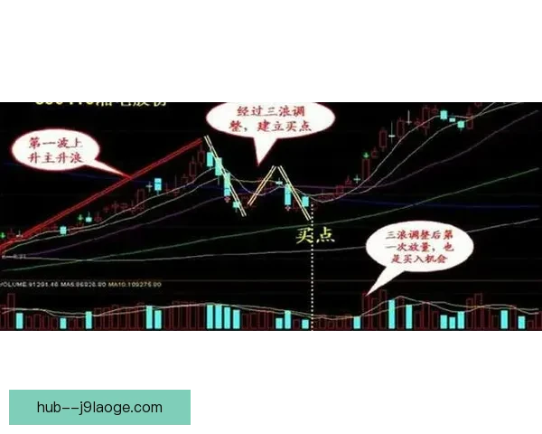 从租借边缘到右闸核心波施被买断后在博洛尼亚逆袭与稳固主力之路